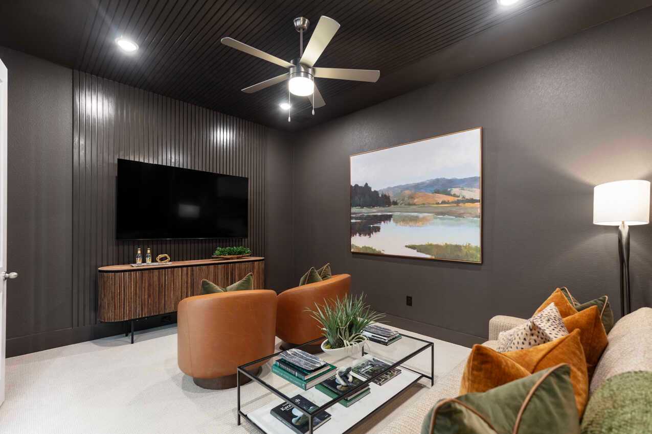 Entertainment Room