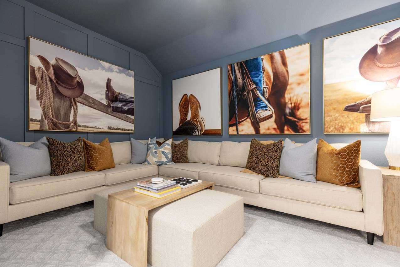Entertainment Room