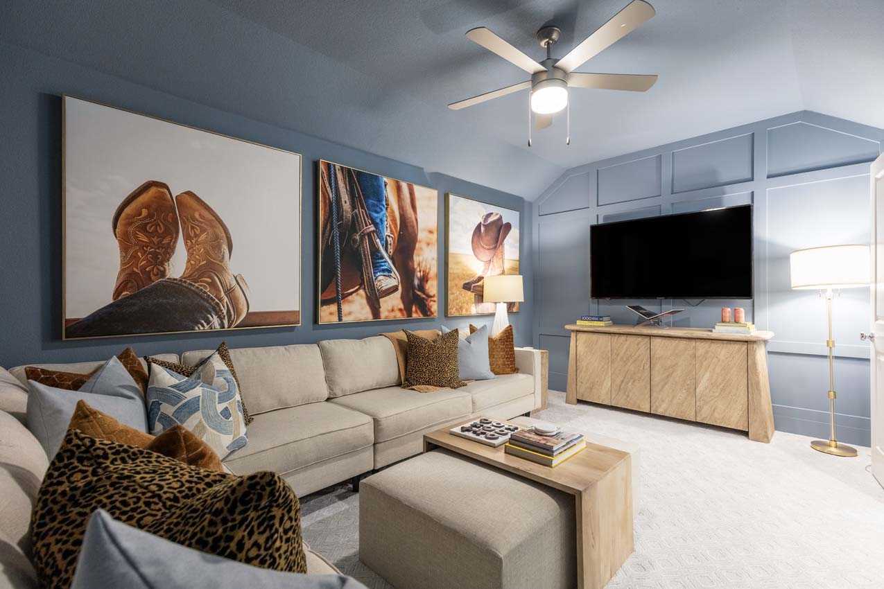 Entertainment Room