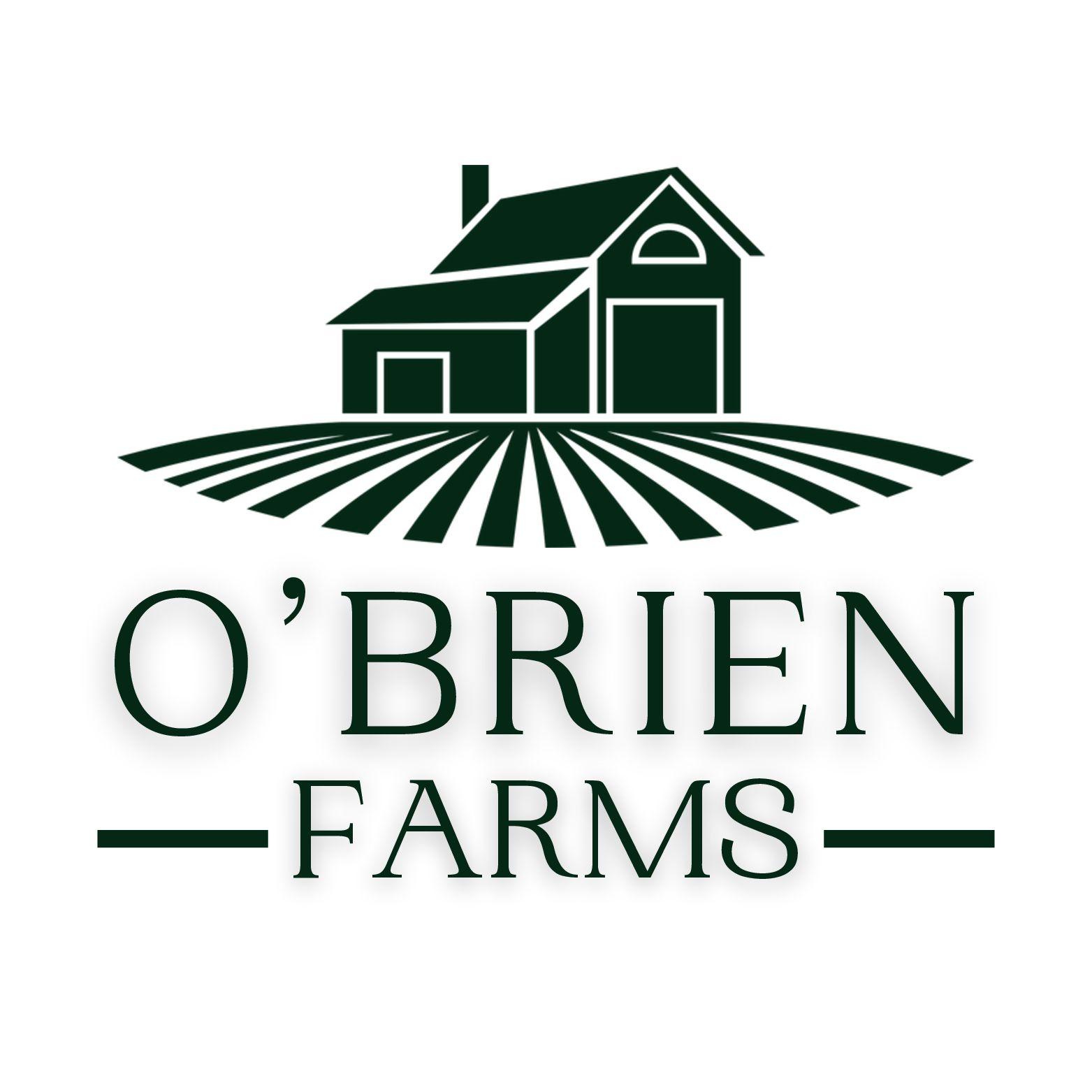 casa en O’Brien Farms por Hughston Homes