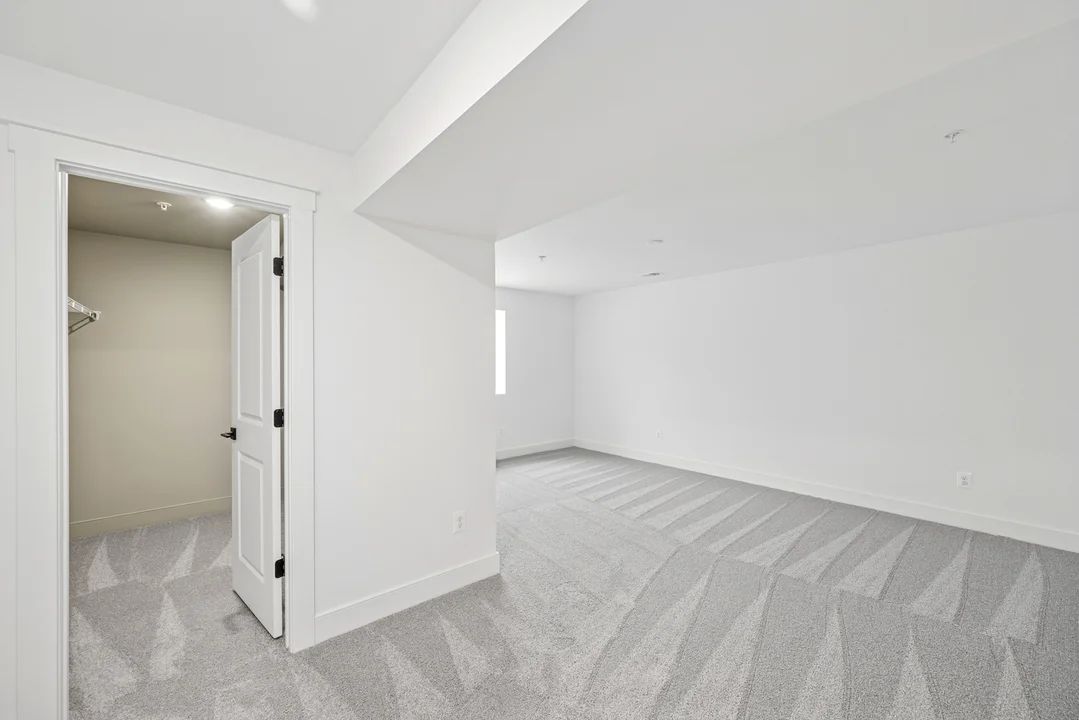 Basement Den