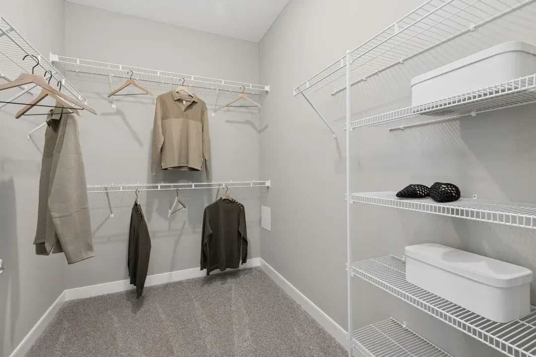 Primary Walk-in Closet
