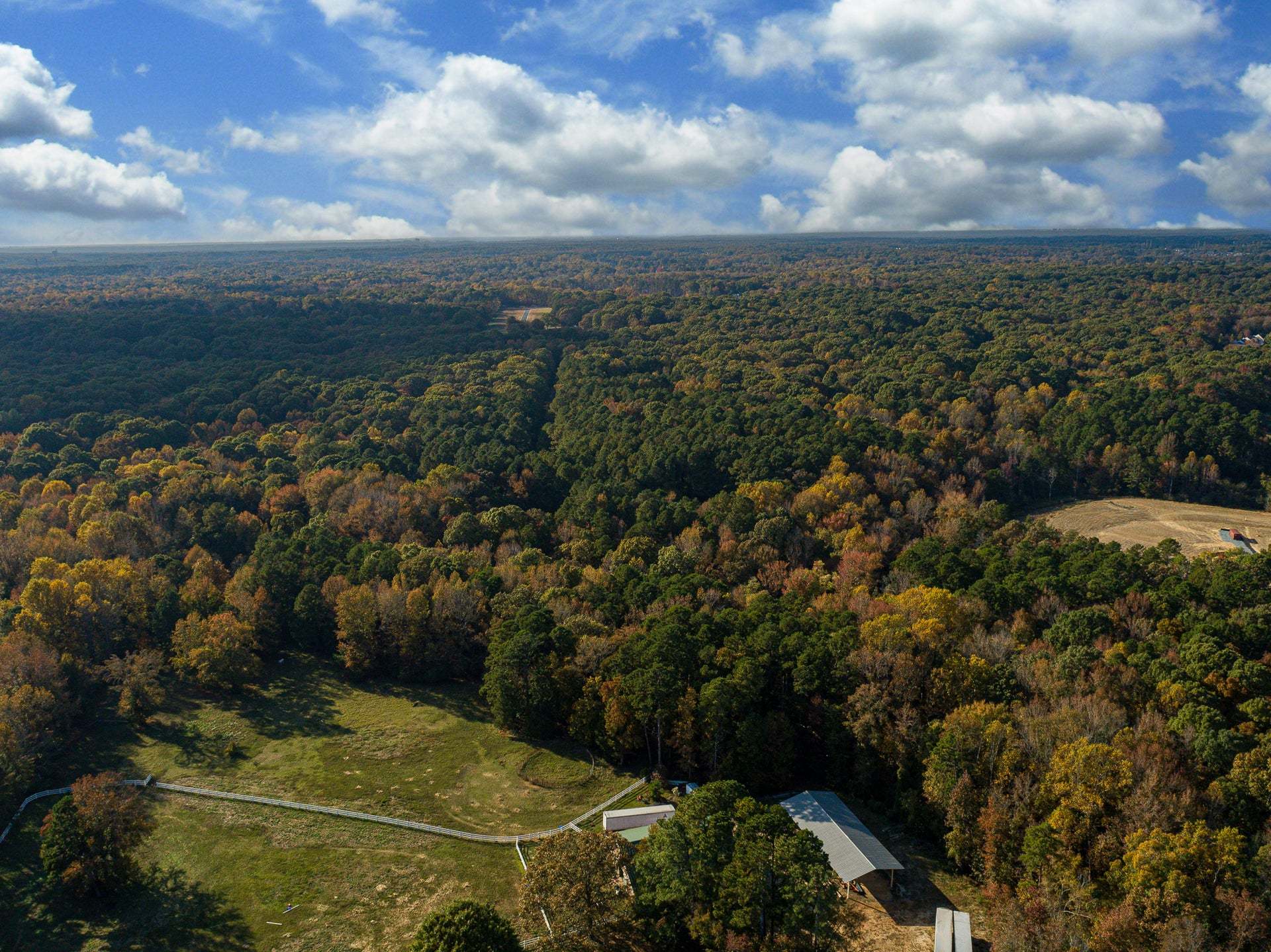 Foxridge Meadow