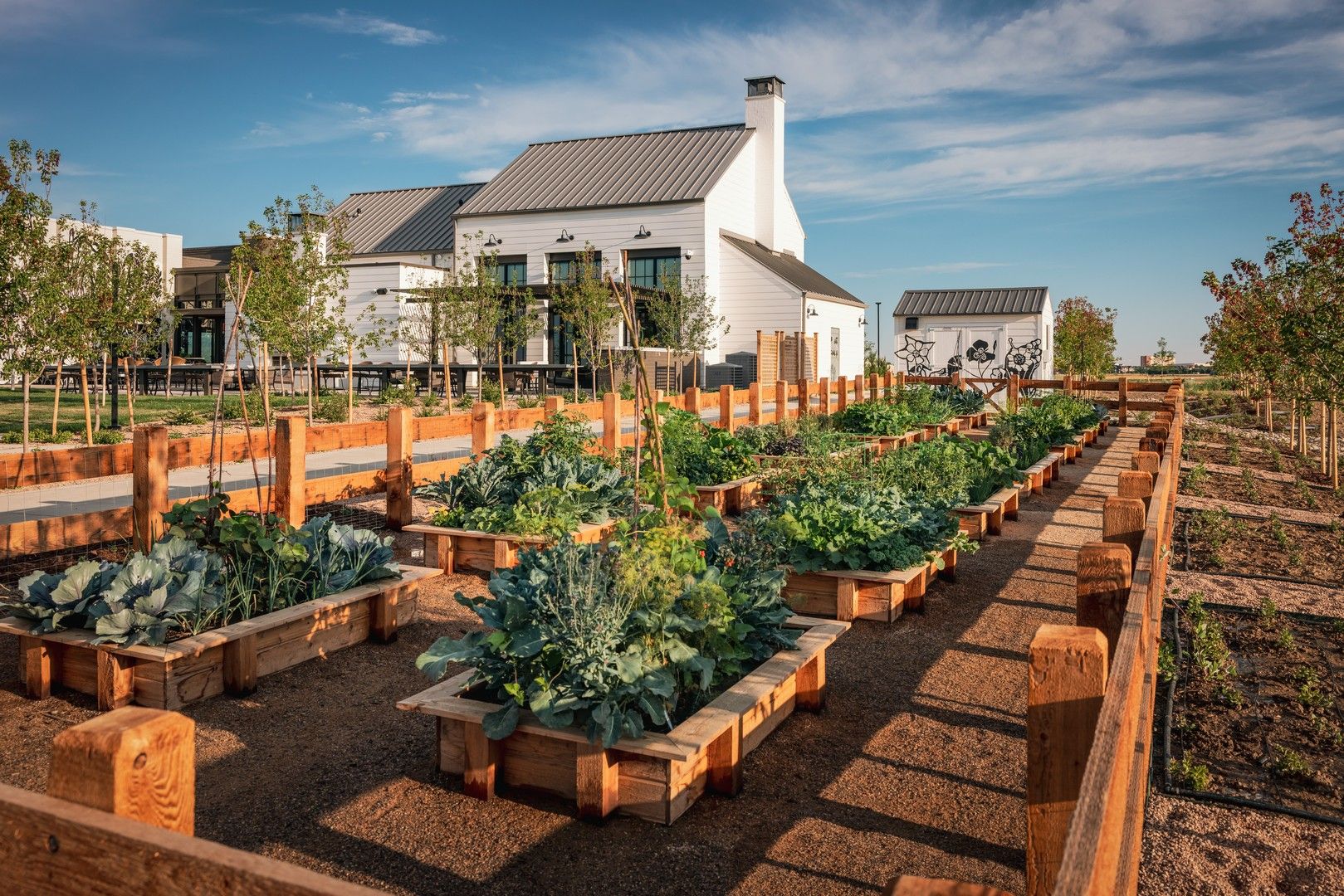 Kinston at Centerra - Loveland, CO