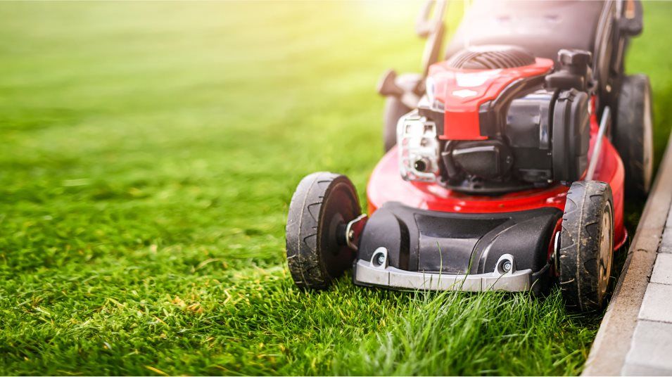 Lawn mower cutting grass