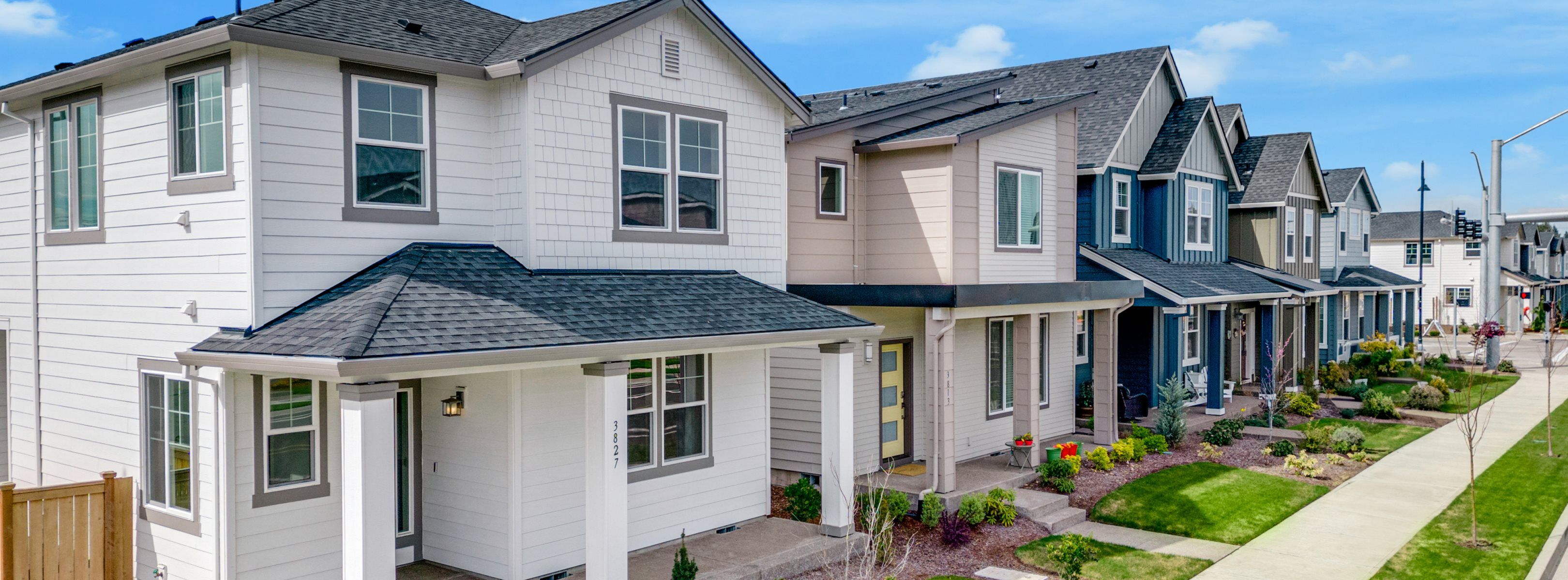 Meadowview - The Daisy Collection