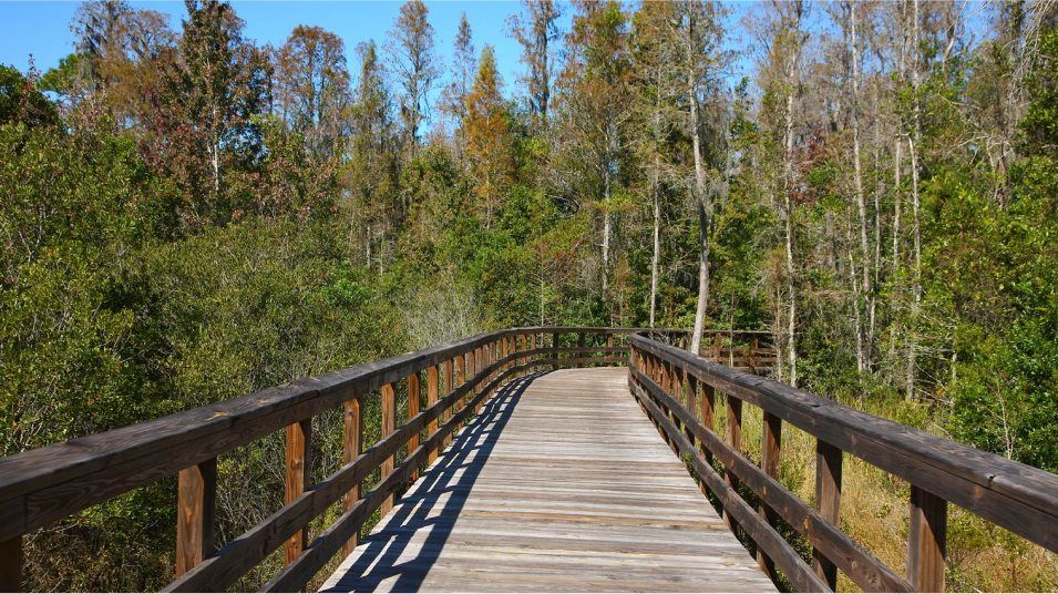 Walking trail