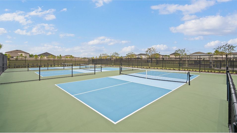Stonegate Preserve Amenity Pickleball 1of3 100725