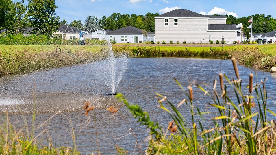 Pond