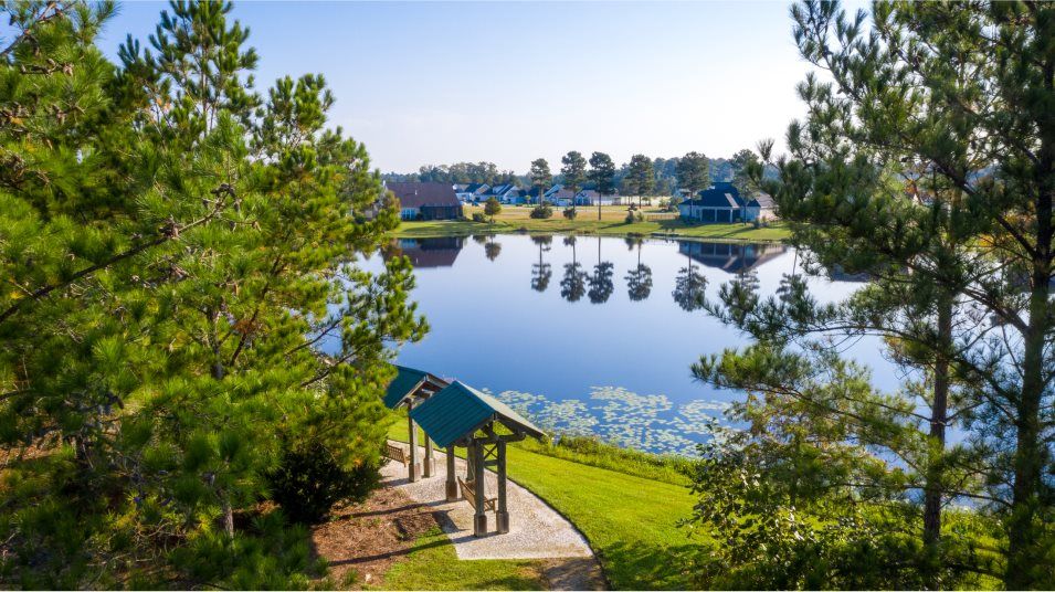 Pond