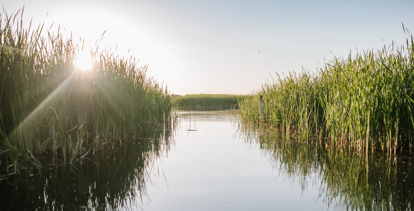 Round Lake