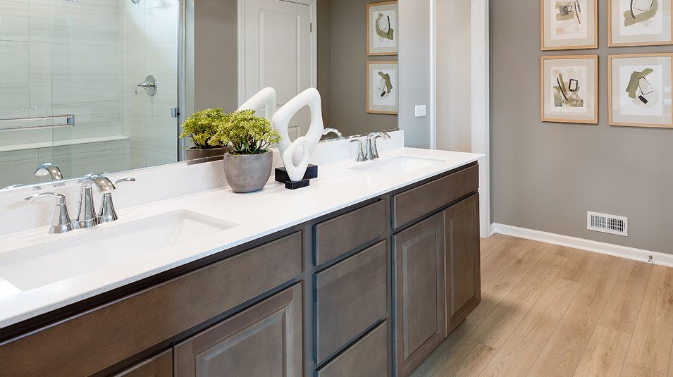 Pic EI Owners Suite Sinks