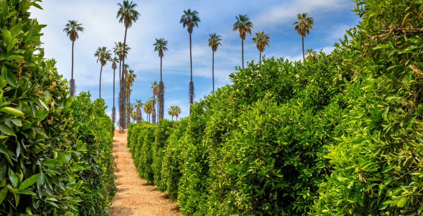 Hiking trail