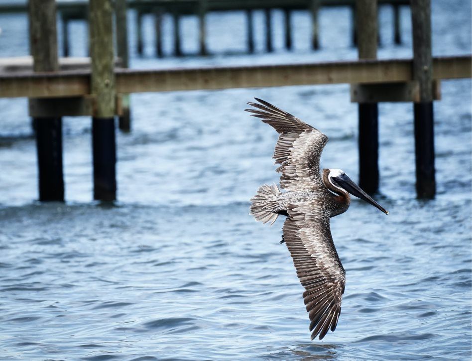 Little Manatee River State Park