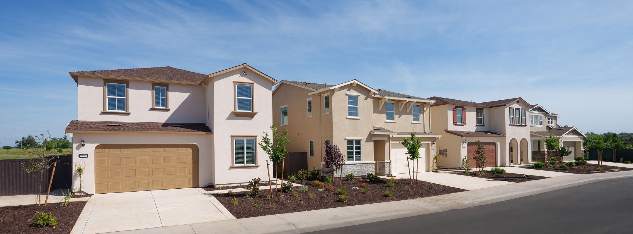The Preserve - Cyan