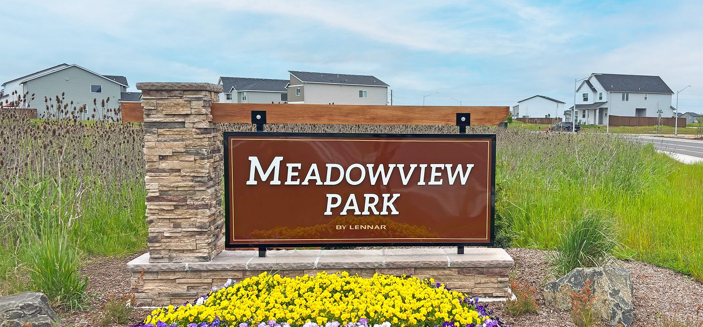 Meadowview - The Daisy Collection