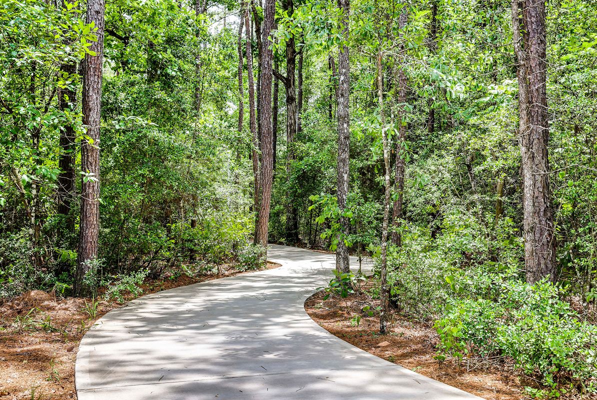 Conroe Carl Barton Jr Park Trail 1of4 032526