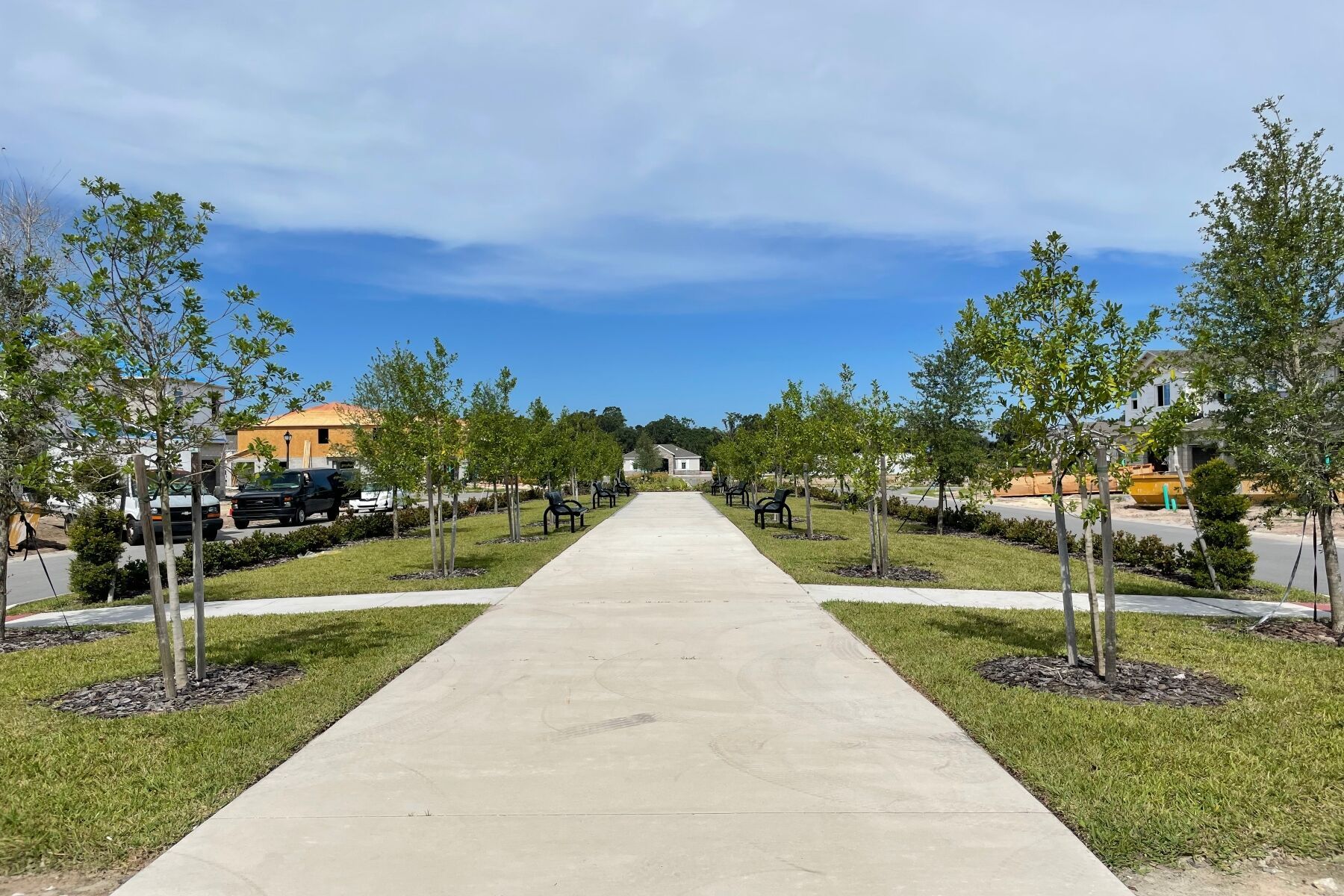Streetscape
