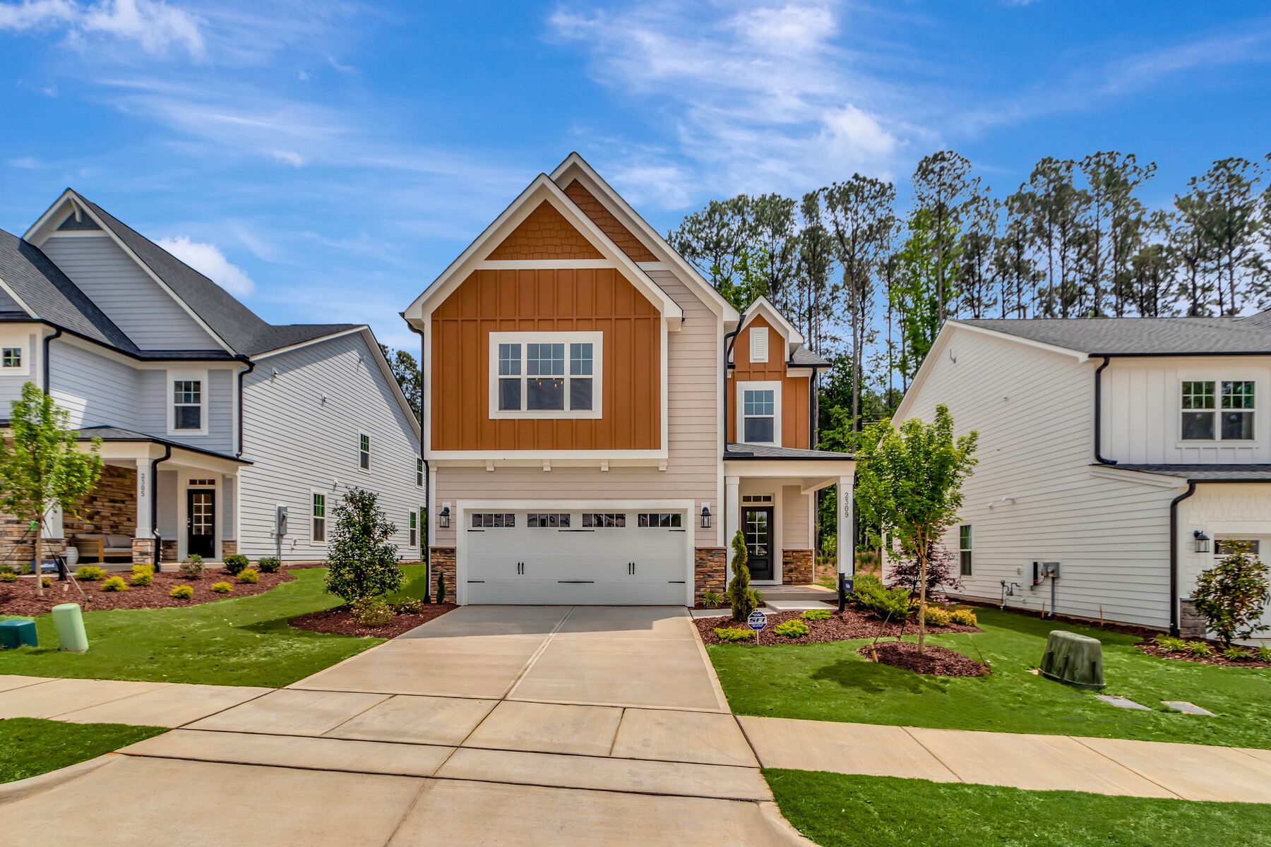 2309 Field Poppy Drive (Viola)