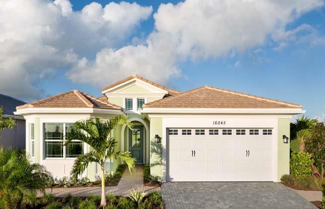 Schefflera - Westlake: Westlake, Florida - Minto Communities