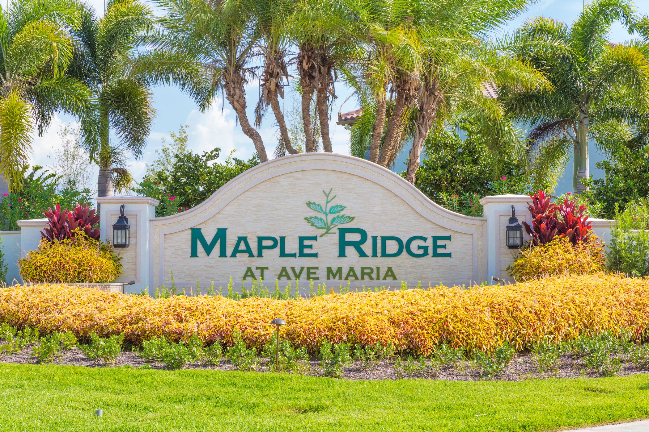 casa en Maple Ridge at Ave Maria por CC Homes