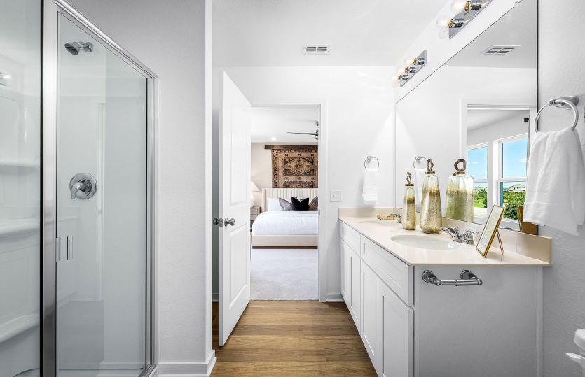 Owner's Bath