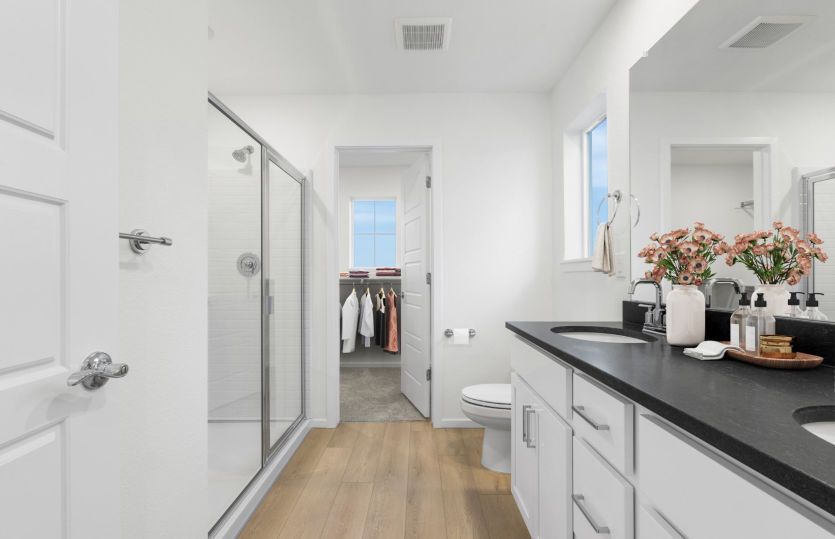 Owner's Bath
