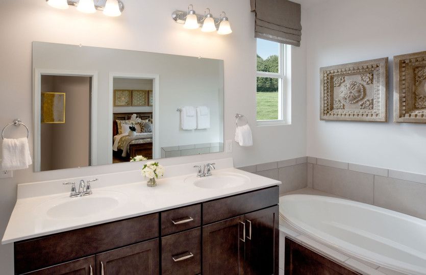 Owner's Bath