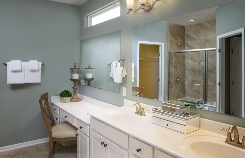 Owner's Bath