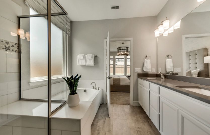 Large shower and tub in owner's bath