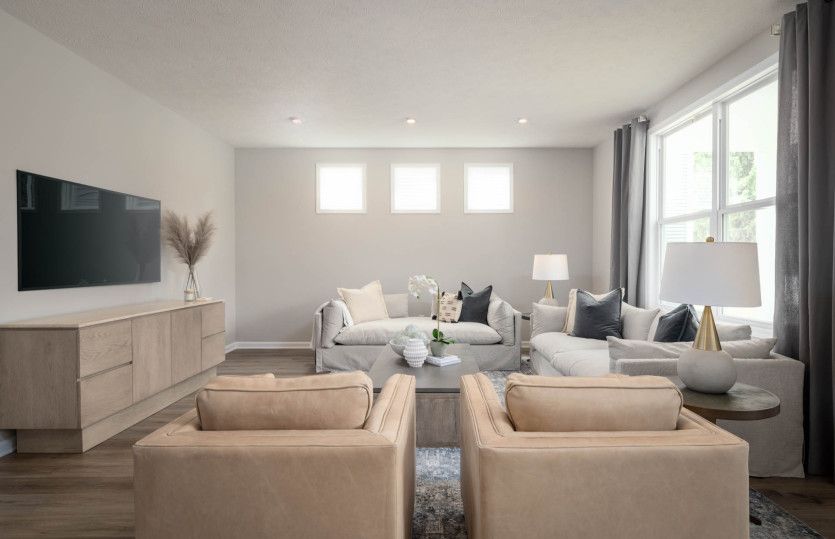 Perfect Entertainment Space