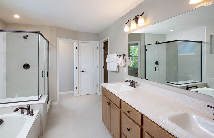 Owner's Bath