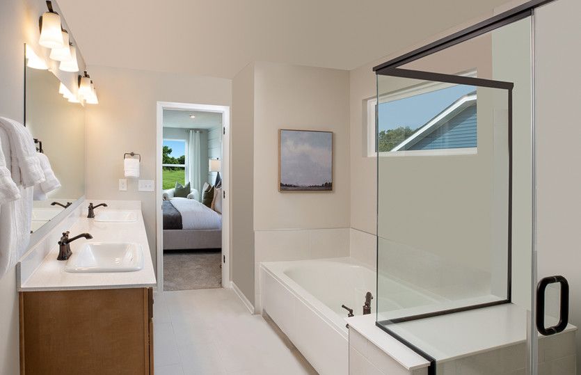 Owner's Bath