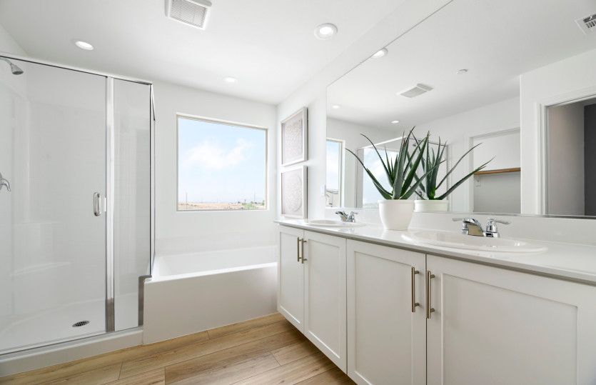 Owner's Bathroom