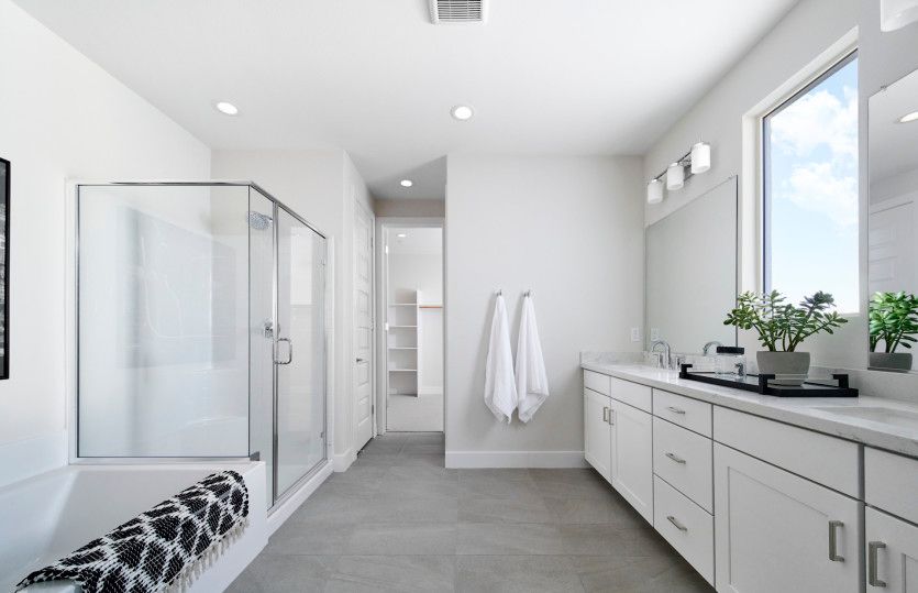 Owner's Bathroom