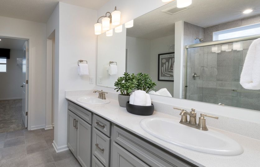 Owner's Bath