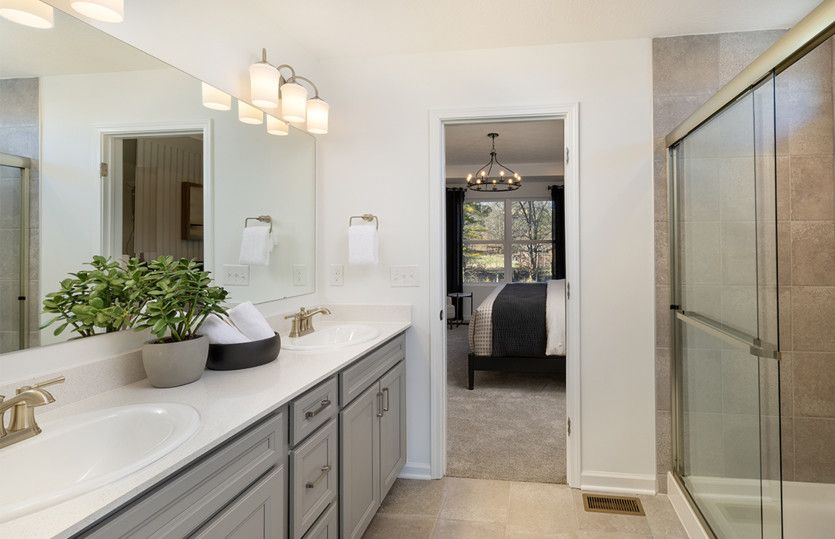 Owner's Bath