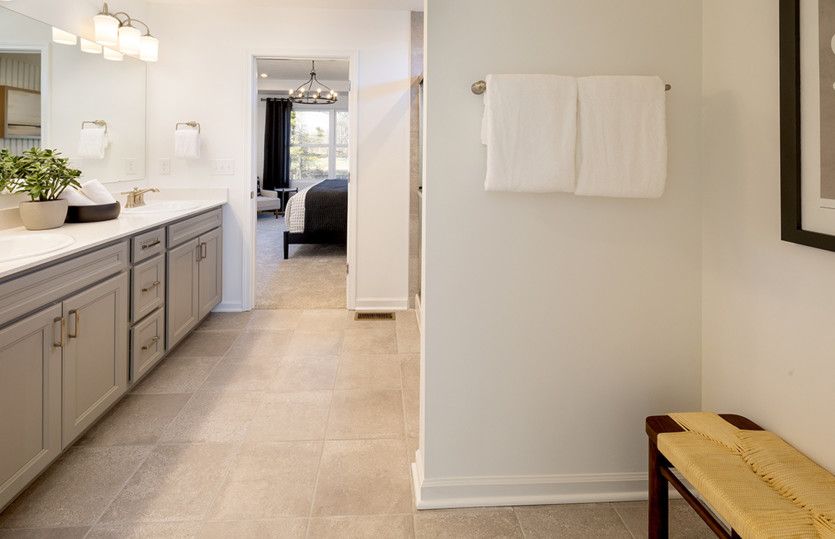 Owner's Bath