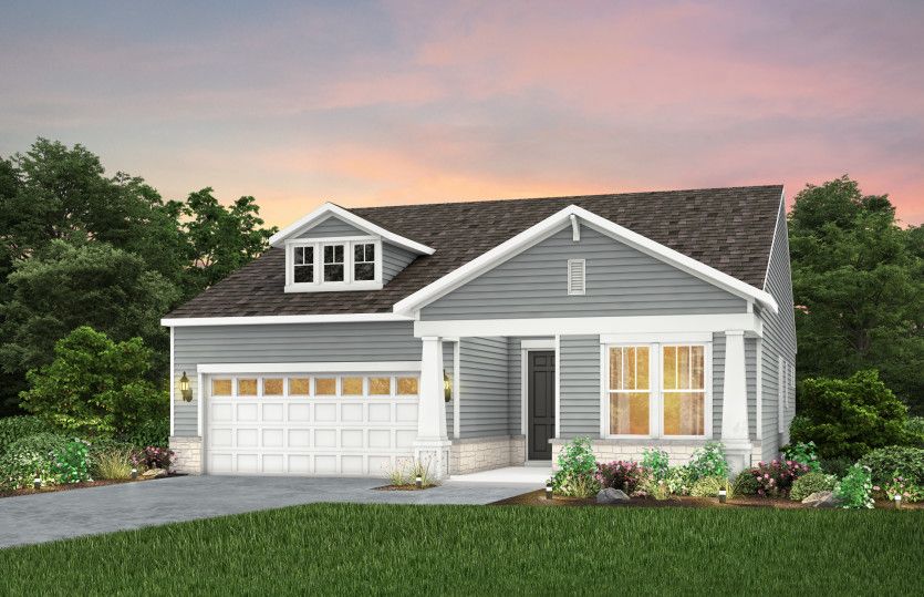 Prosperity Elevation LC203