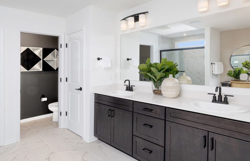 Owner's Bath