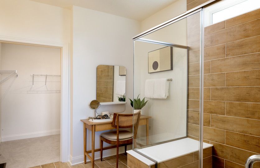Owner's Bath