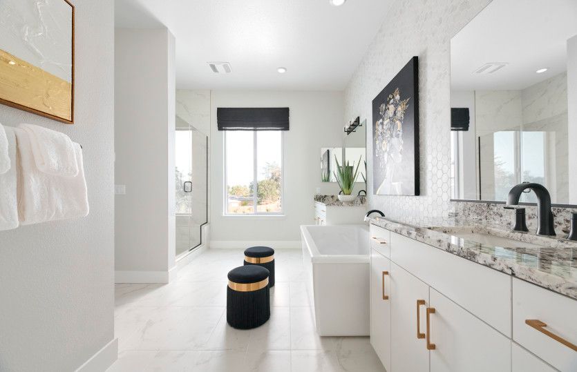 Luxurious owner's bathroom with walk in shower