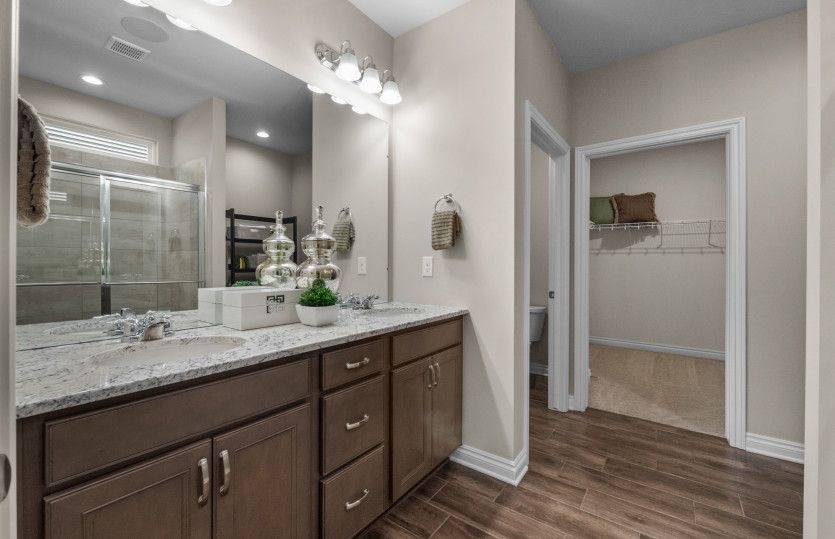 Owner's Bath