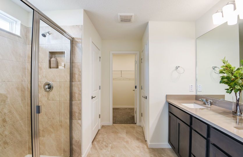 Owner's Bath
