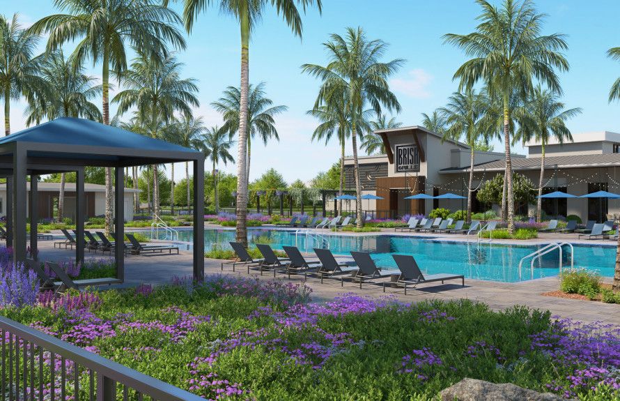 Vivid Shores - Bonita Springs, FL