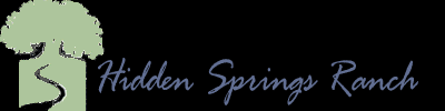 Hidden Springs Ranch por Randy Lawrence Homes en Austin Texas