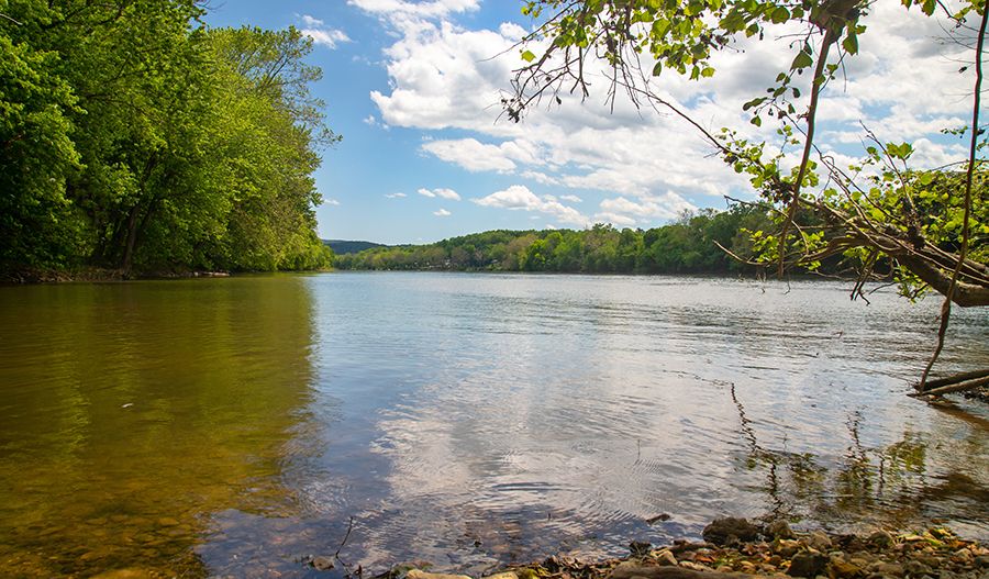 Lake Anna