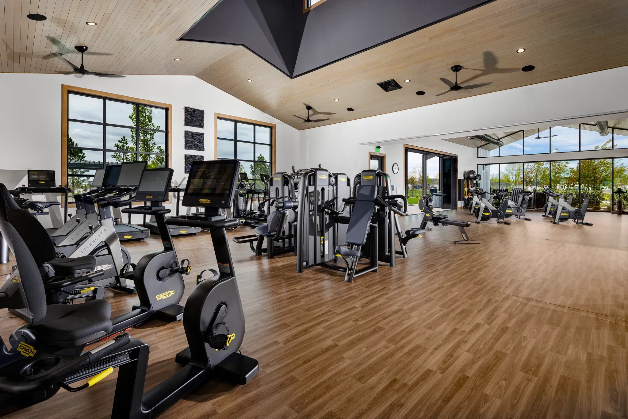 Strength & Conditioning Area