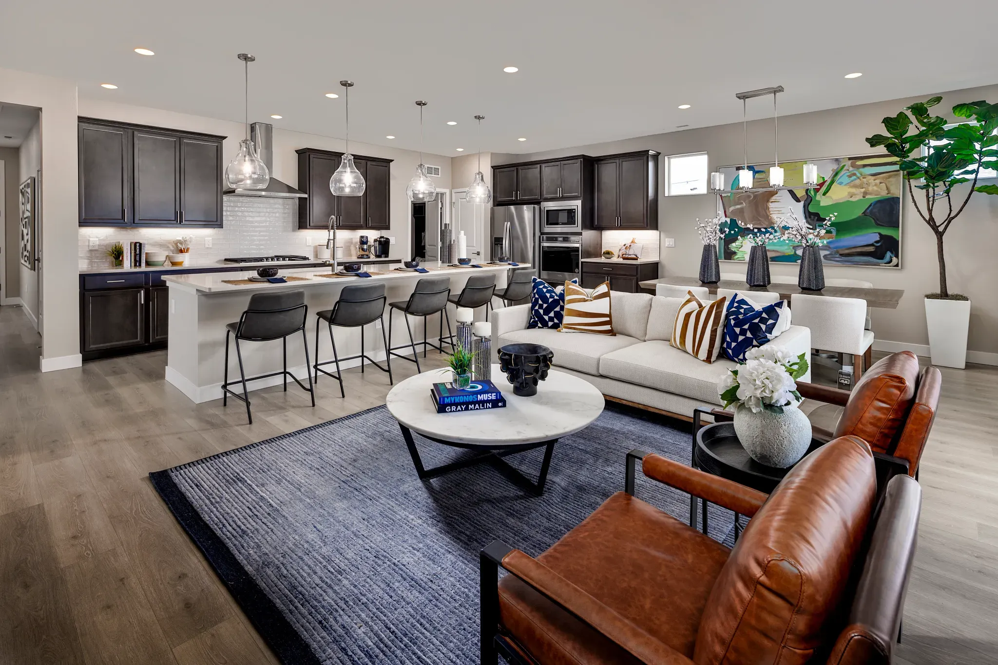 Verterra Model Home Great Room