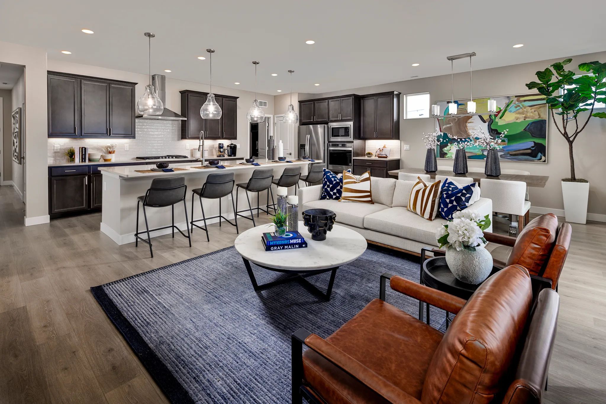 Verterra Model Home Great Room